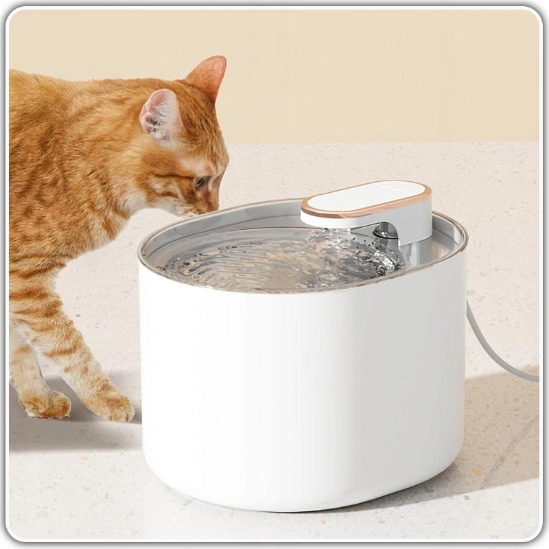SipSpring™ Automatic Cat Drinking Fountain