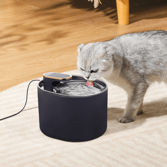 SipSpring™ Automatic Cat Drinking Fountain