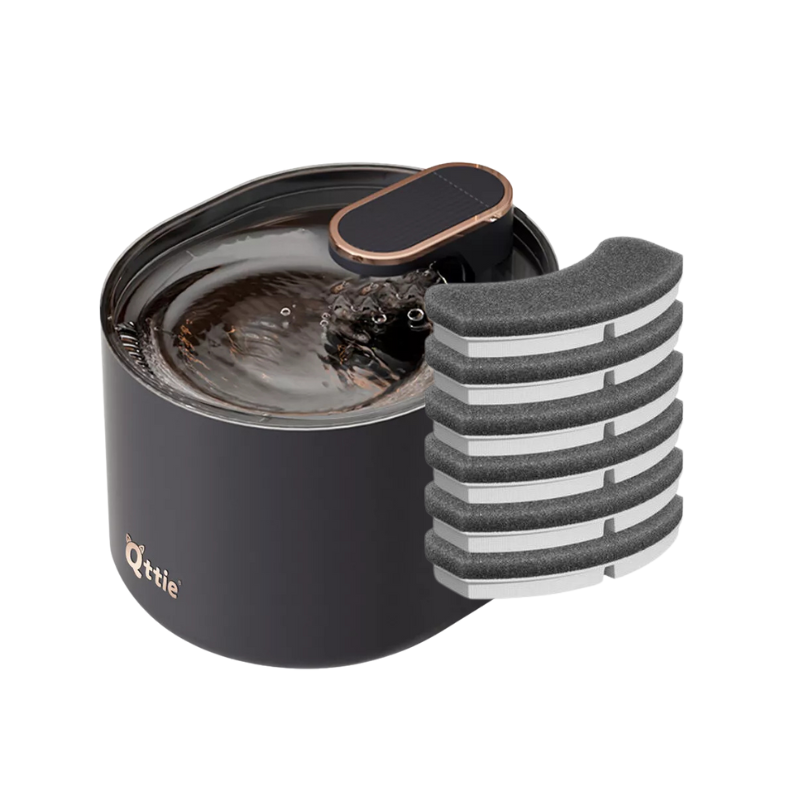 Automatic Cat Drinking Fountain & Filter Bundle