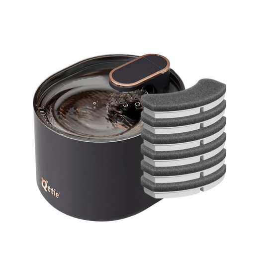 Automatic Cat Drinking Fountain & Filter Bundle